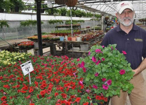 Stratton Greenhouses open for the season