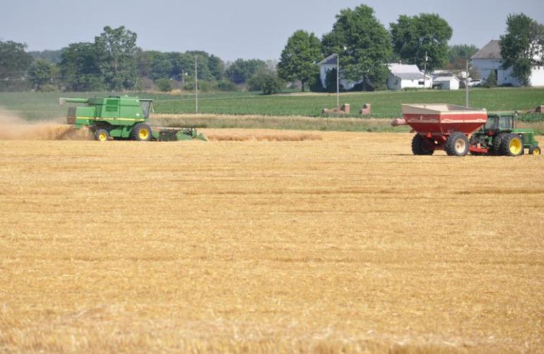 2011 wheat harvest