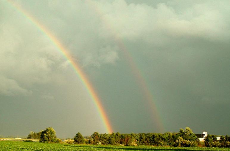 2 pots of gold