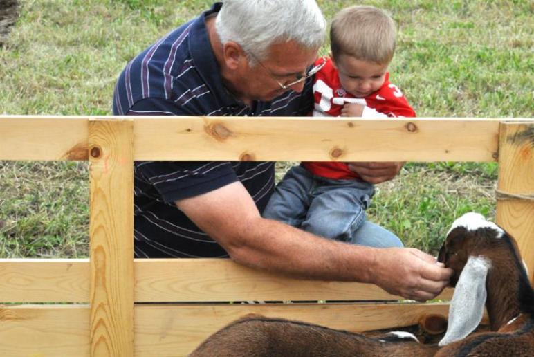 On the farm