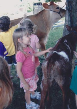 On the farm